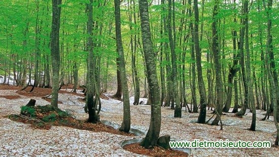 10 di sản thiên nhiên độc đáo trên toàn thế giới