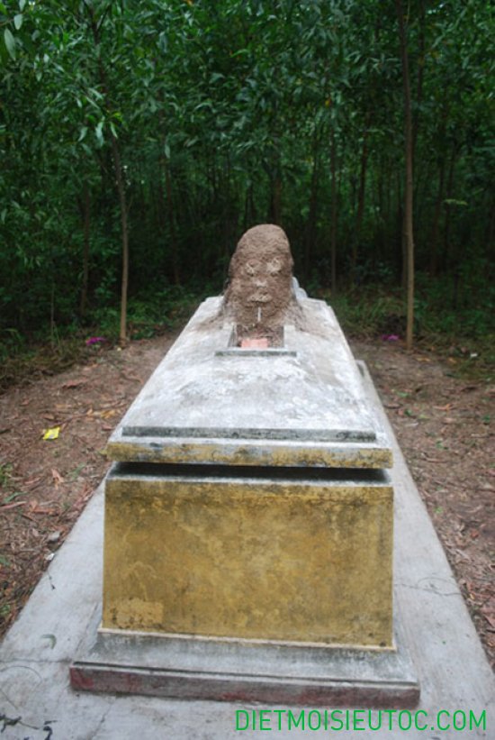 Tổ mối hình đầu người trên ngôi mộ