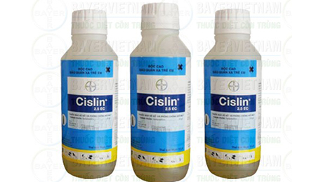 Thuốc phòng mối mọt CISLIN 2.5 EC